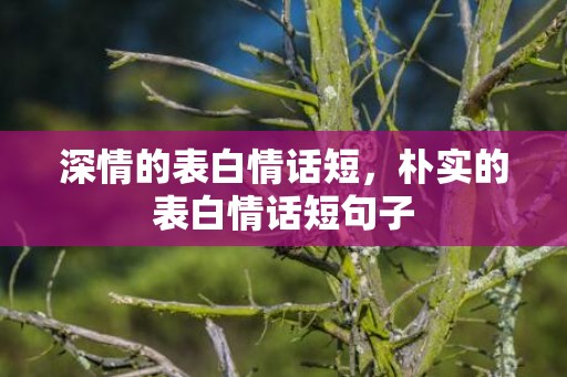 深情的表白情话短，朴实的表白情话短句子