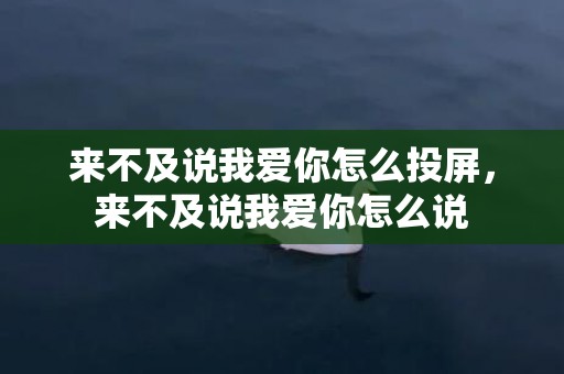 来不及说我爱你怎么投屏，来不及说我爱你怎么说