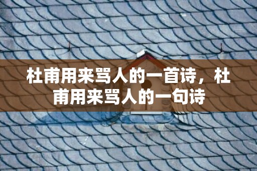 杜甫用来骂人的一首诗，杜甫用来骂人的一句诗