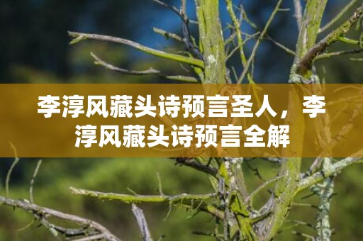 李淳风藏头诗预言圣人，李淳风藏头诗预言全解