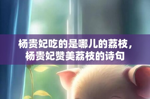 杨贵妃吃的是哪儿的荔枝，杨贵妃赞美荔枝的诗句