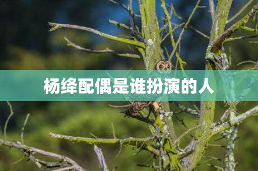 杨绛配偶是谁扮演的人