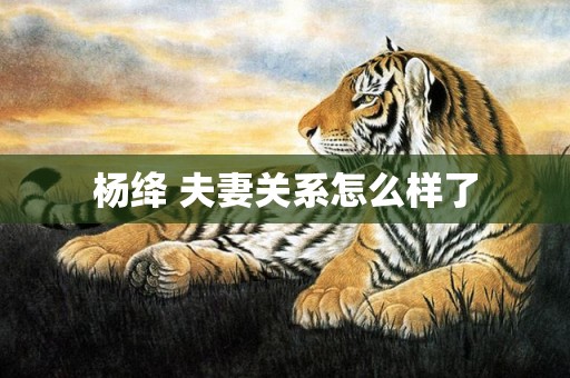 杨绛 夫妻关系怎么样了