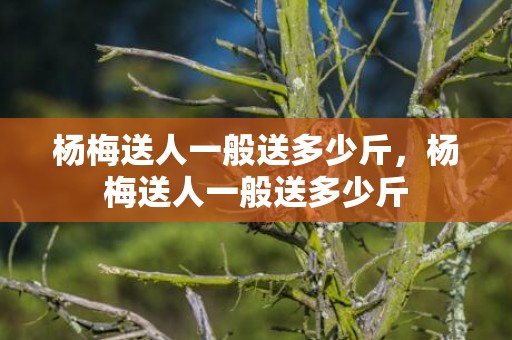 杨梅送人一般送多少斤，杨梅送人一般送多少斤