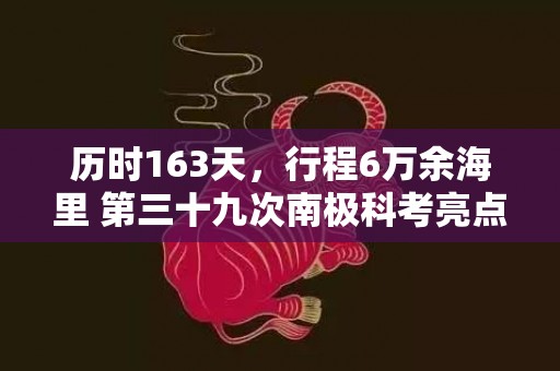 历时163天，行程6万余海里 第三十九次南极科考亮点多
