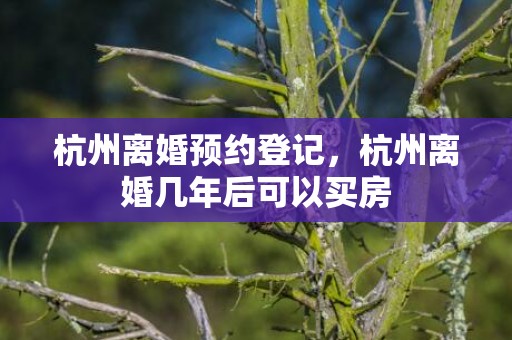 杭州离婚预约登记，杭州离婚几年后可以买房