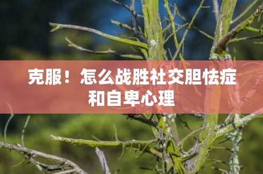 克服！怎么战胜社交胆怯症和自卑心理