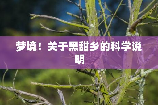 梦境！关于黑甜乡的科学说明