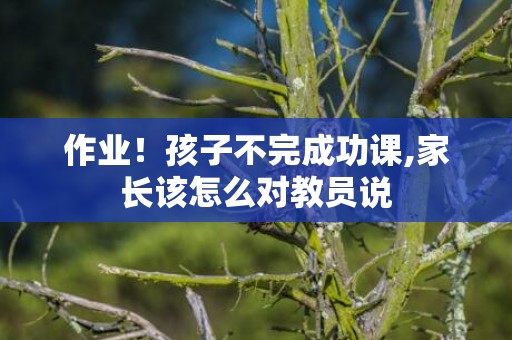 作业！孩子不完成功课,家长该怎么对教员说
