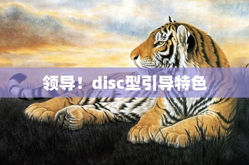 领导！disc型引导特色