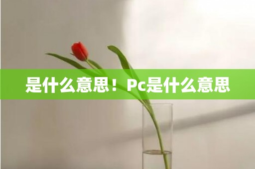 是什么意思！Pc是什么意思