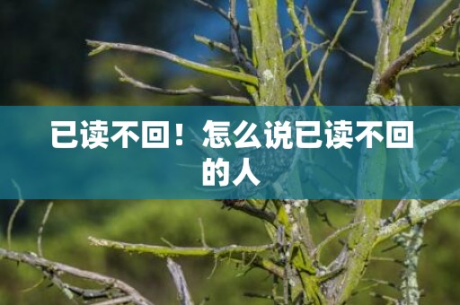 已读不回！怎么说已读不回的人