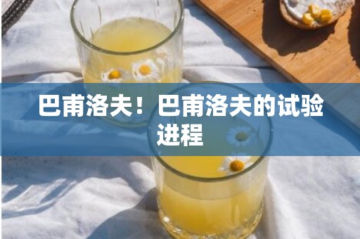 巴甫洛夫！巴甫洛夫的试验进程