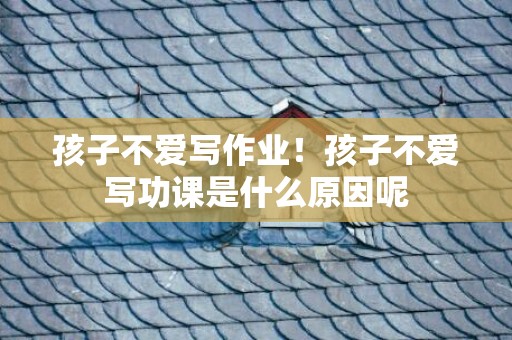 孩子不爱写作业！孩子不爱写功课是什么原因呢