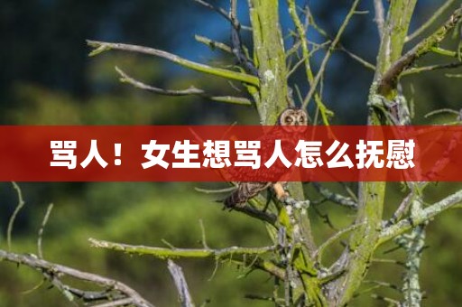骂人！女生想骂人怎么抚慰
