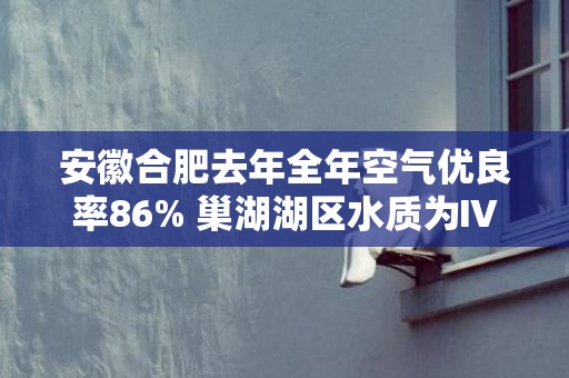 安徽合肥去年全年空气优良率86% 巢湖湖区水质为Ⅳ类