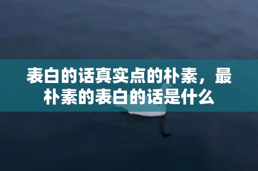 表白的话真实点的朴素，最朴素的表白的话是什么