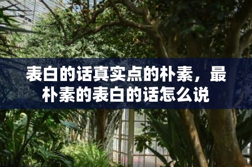 表白的话真实点的朴素，最朴素的表白的话怎么说