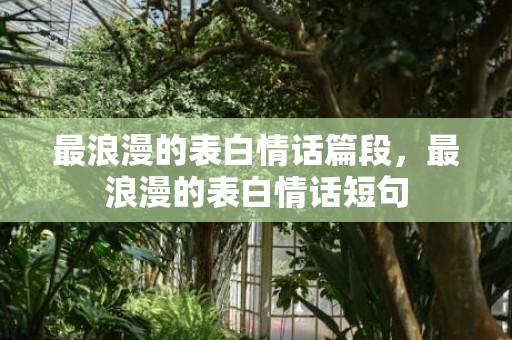 最浪漫的表白情话篇段，最浪漫的表白情话短句