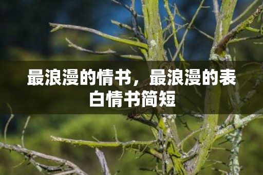 最浪漫的情书，最浪漫的表白情书简短