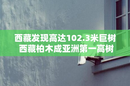 西藏发现高达102.3米巨树 西藏柏木成亚洲第一高树种