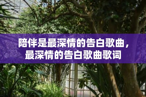 陪伴是最深情的告白歌曲，最深情的告白歌曲歌词