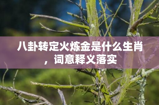 八卦转定火炼金是什么生肖，词意释义落实
