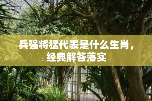 兵强将猛代表是什么生肖，经典解答落实