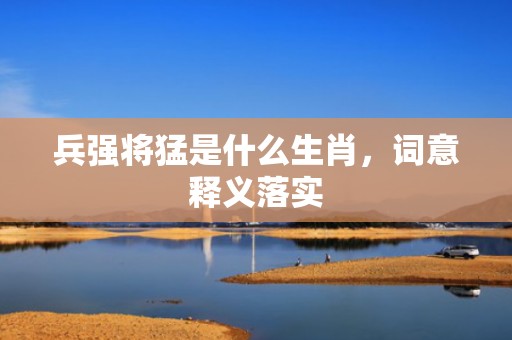 兵强将猛是什么生肖，词意释义落实