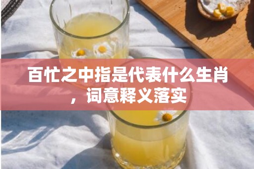 百忙之中指是代表什么生肖，词意释义落实