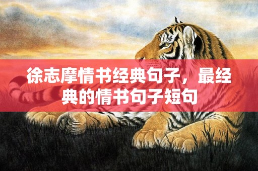 徐志摩情书经典句子，最经典的情书句子短句