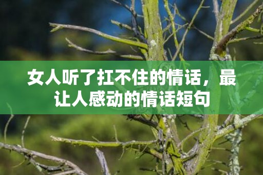 女人听了扛不住的情话，最让人感动的情话短句