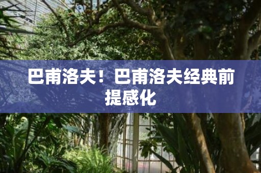 巴甫洛夫！巴甫洛夫经典前提感化