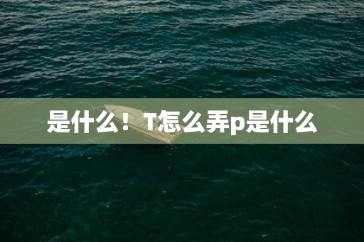 是什么！T怎么弄p是什么