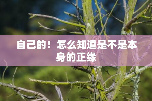 自己的！怎么知道是不是本身的正缘