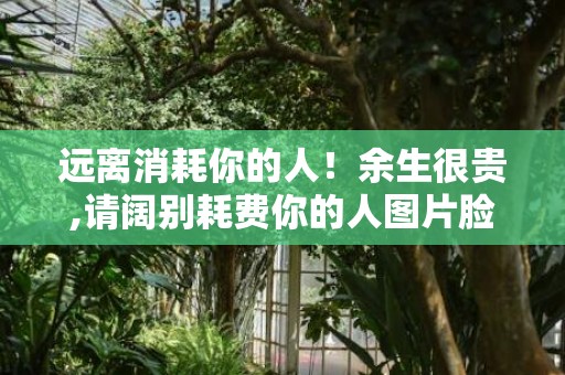 远离消耗你的人！余生很贵,请阔别耗费你的人图片脸色包