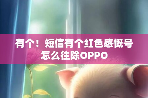 有个！短信有个红色感慨号怎么往除OPPO