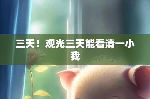 三天！观光三天能看清一小我