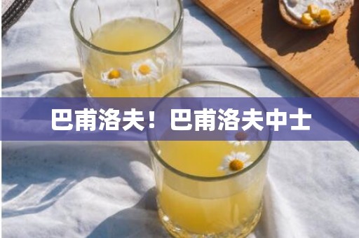 巴甫洛夫！巴甫洛夫中士