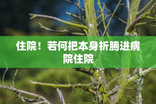 住院！若何把本身折腾进病院住院