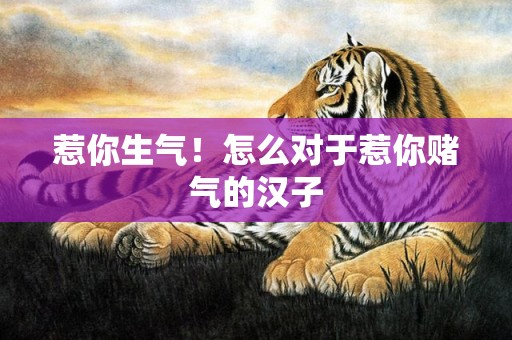 惹你生气！怎么对于惹你赌气的汉子