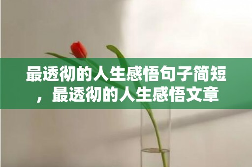 最透彻的人生感悟句子简短，最透彻的人生感悟文章