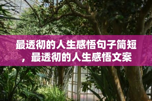 最透彻的人生感悟句子简短，最透彻的人生感悟文案