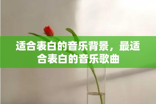 适合表白的音乐背景，最适合表白的音乐歌曲
