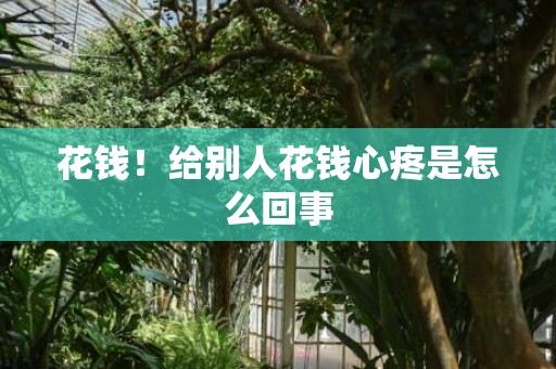 花钱！给别人花钱心疼是怎么回事