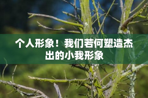 个人形象！我们若何塑造杰出的小我形象