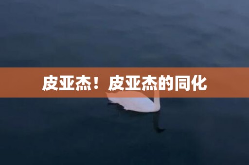皮亚杰！皮亚杰的同化