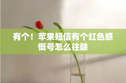 有个！苹果短信有个红色感慨号怎么往除