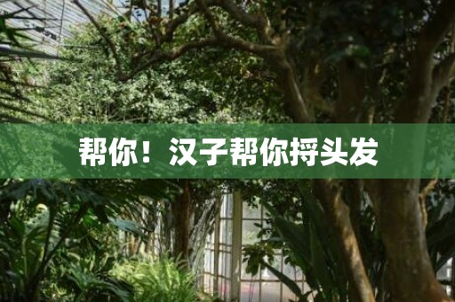 帮你！汉子帮你捋头发