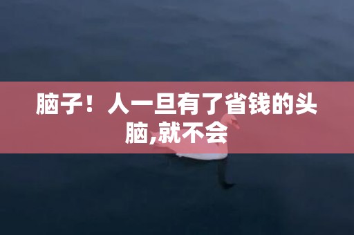 脑子！人一旦有了省钱的头脑,就不会
